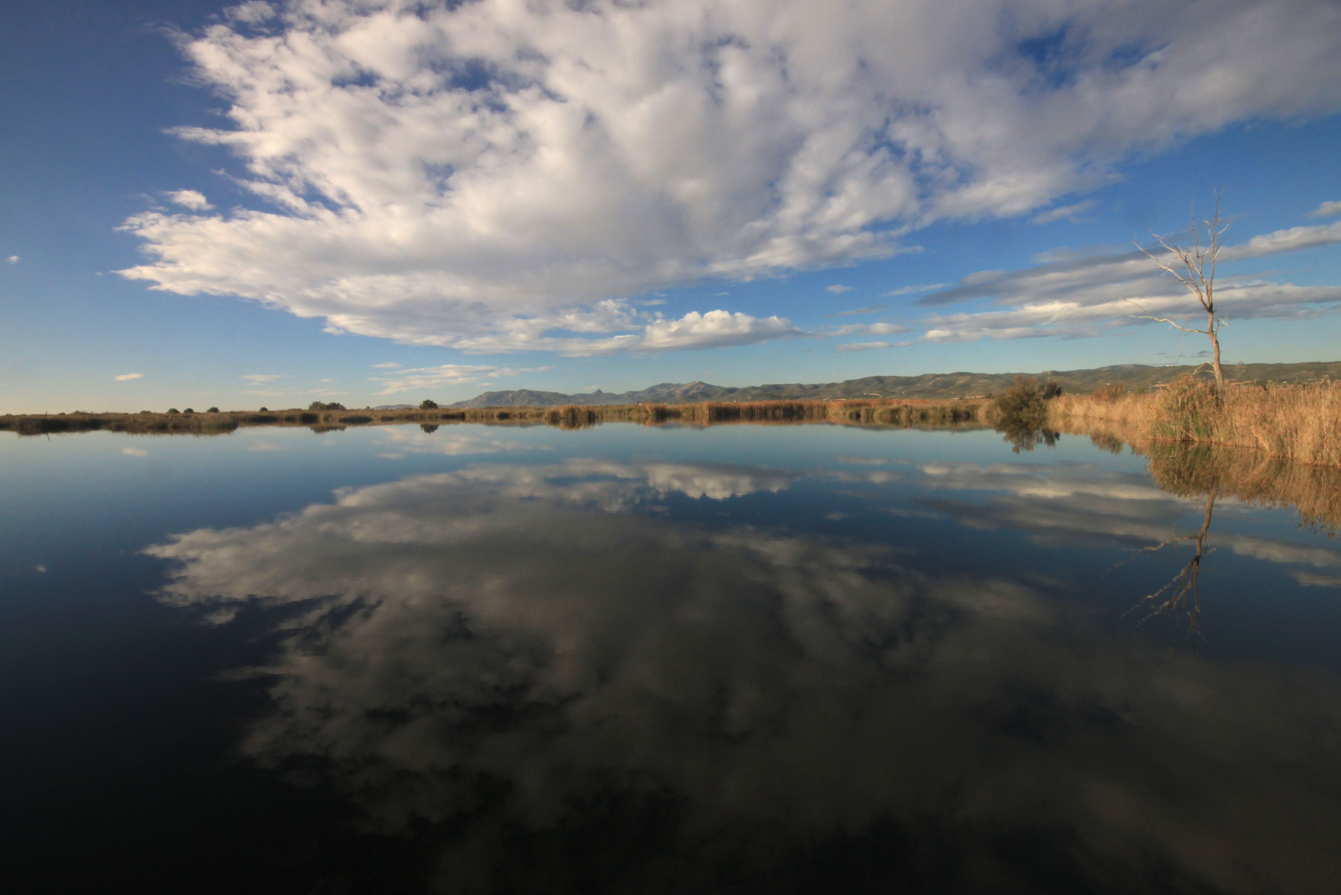 Prat de Cabanes-Torreblanca. Panorámica de turberas alcalinas en Torreblanca